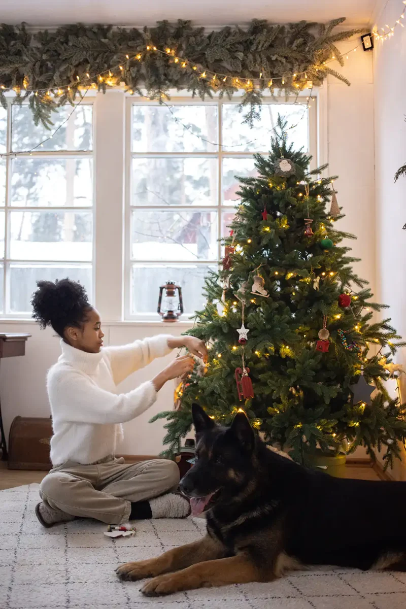 Weihnachtsgirlanden in den Fenstern.