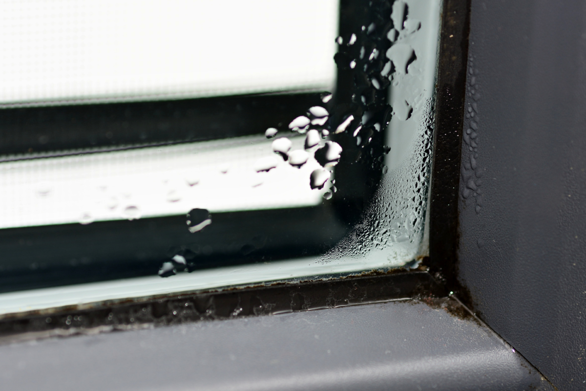 Wie Bekommt Man Schimmel Am Fenstergummi Weg Wie entfernt man Schimmel von einem Fenster? - MS więcej niż OKNA