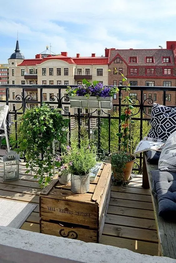 Kräuter auf dem Balkon anbauen