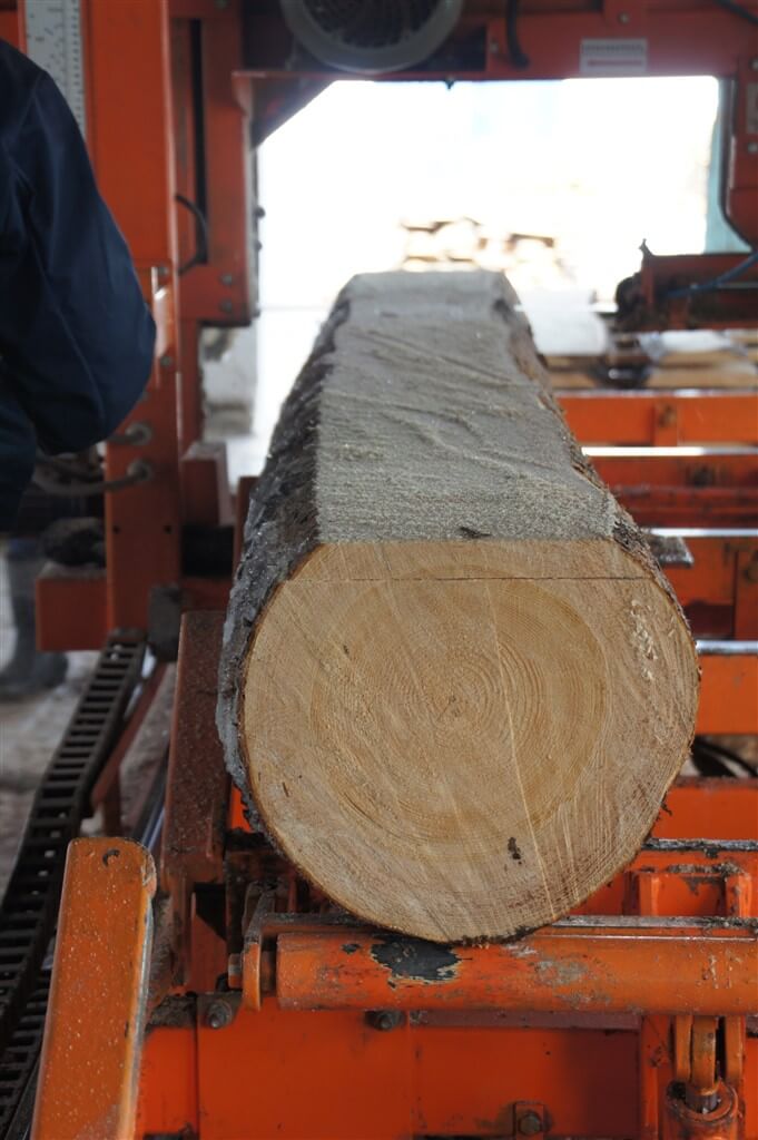 Holz geerntet in Bory Tucholskie.